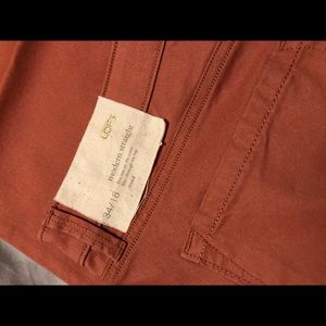 NWT Loft: Size 18 Modern Straight Jeans